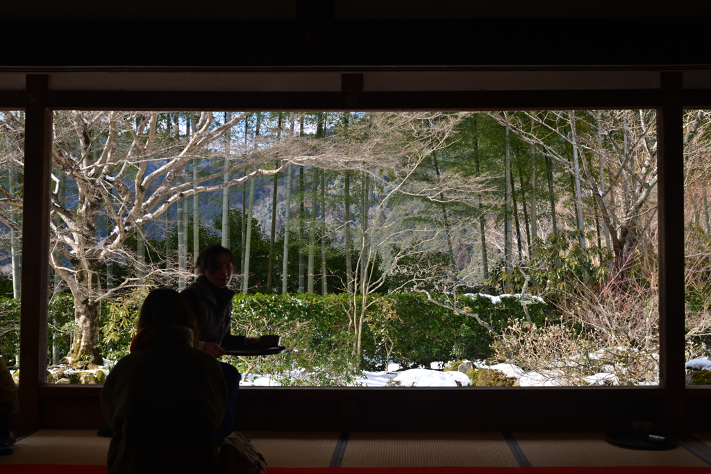 250210c大原宝泉院27