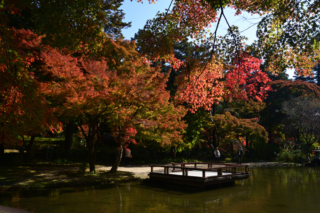 221112a久安寺33