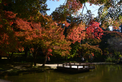 221112a久安寺33