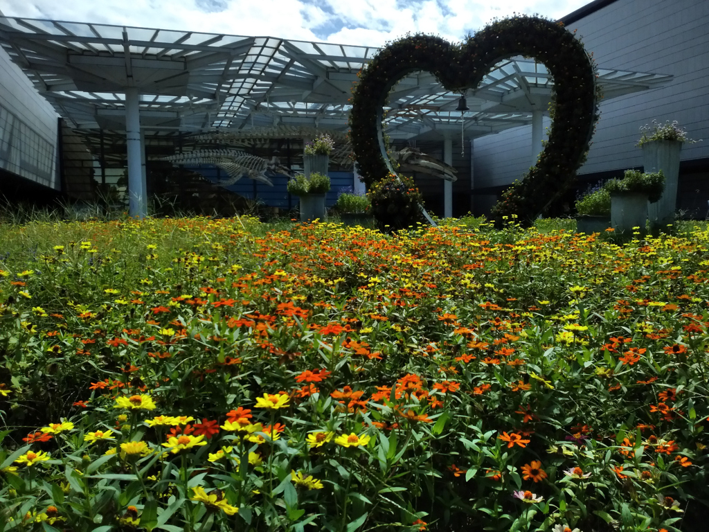 220910a長居植物園16