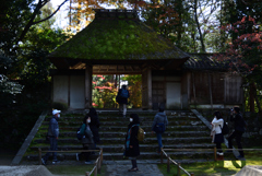 201205a法然院04
