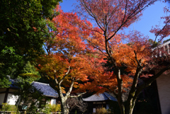 241210a白毫寺09