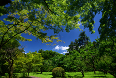 240705京都植物園32