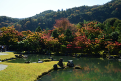 191109a天龍寺26