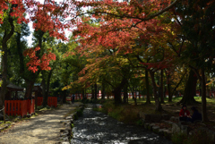 191116a上賀茂神社30