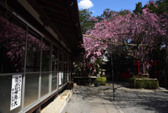 200320e水火天満宮42