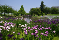 200602a白鷺公園37