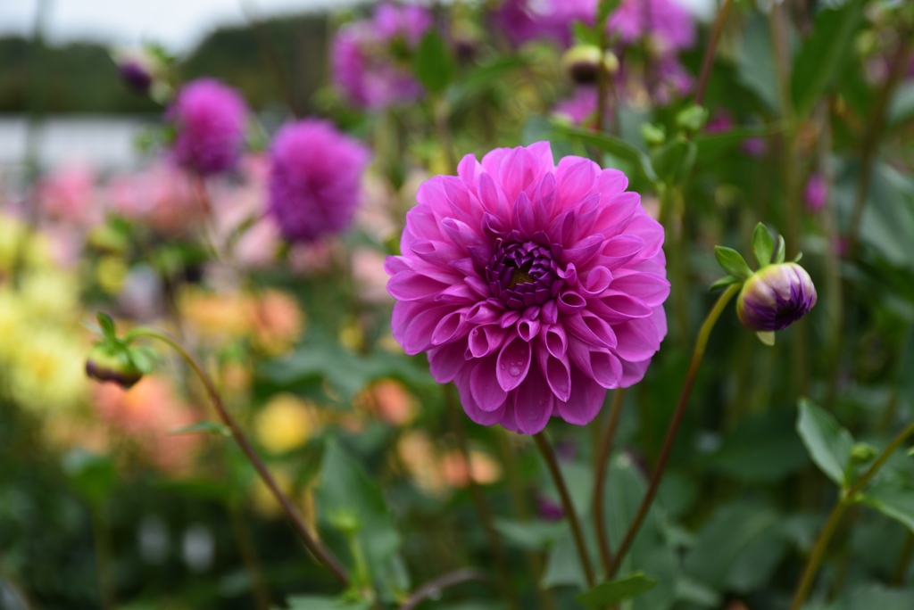 201018馬見丘陵公園22