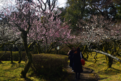 190301a石山寺20