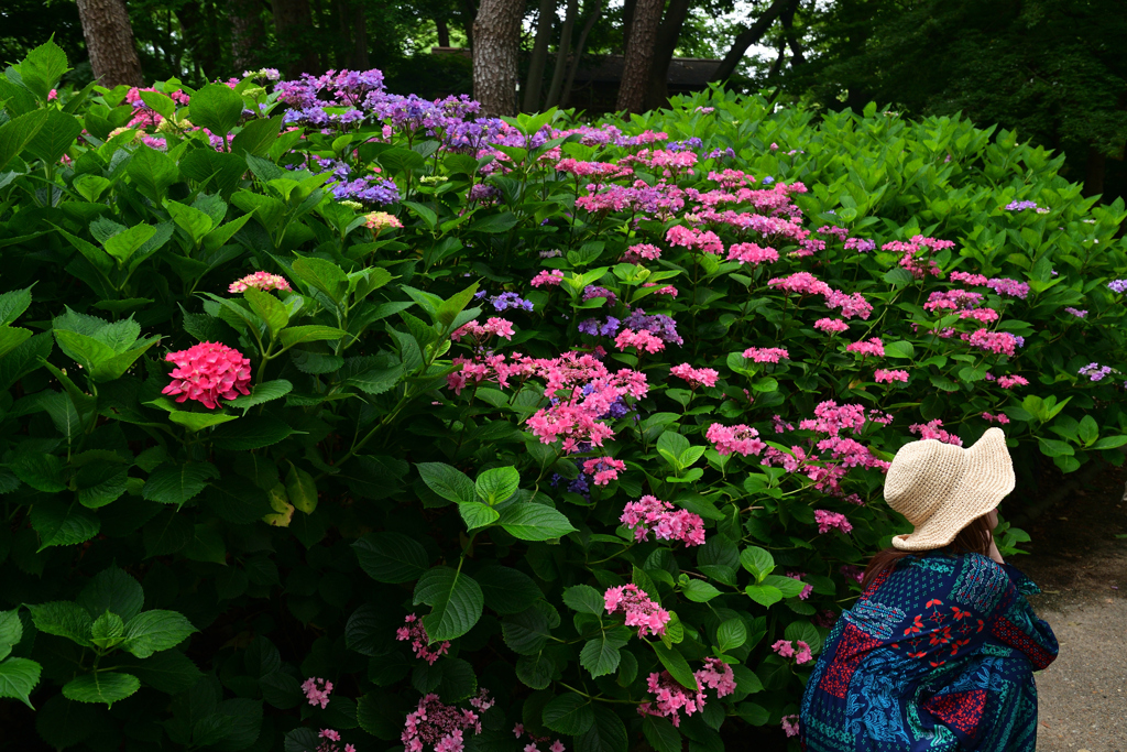 230610b長居植物園53