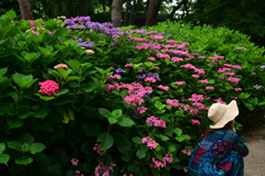 230610b長居植物園53
