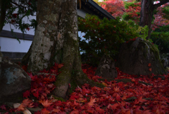 211103高野山64