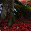 211103高野山64