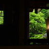 250509e宇治上神社48