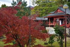 191130a大覚寺30