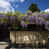 190427b當麻寺03