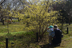 210323b京都植物園30