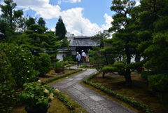 190624b妙心寺04東林院