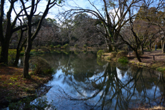 200209d京都植物園21 200209d京都植物園21