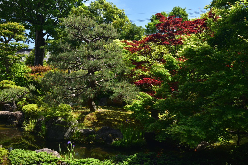 190508c正伝永源院08