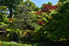 190508c正伝永源院08