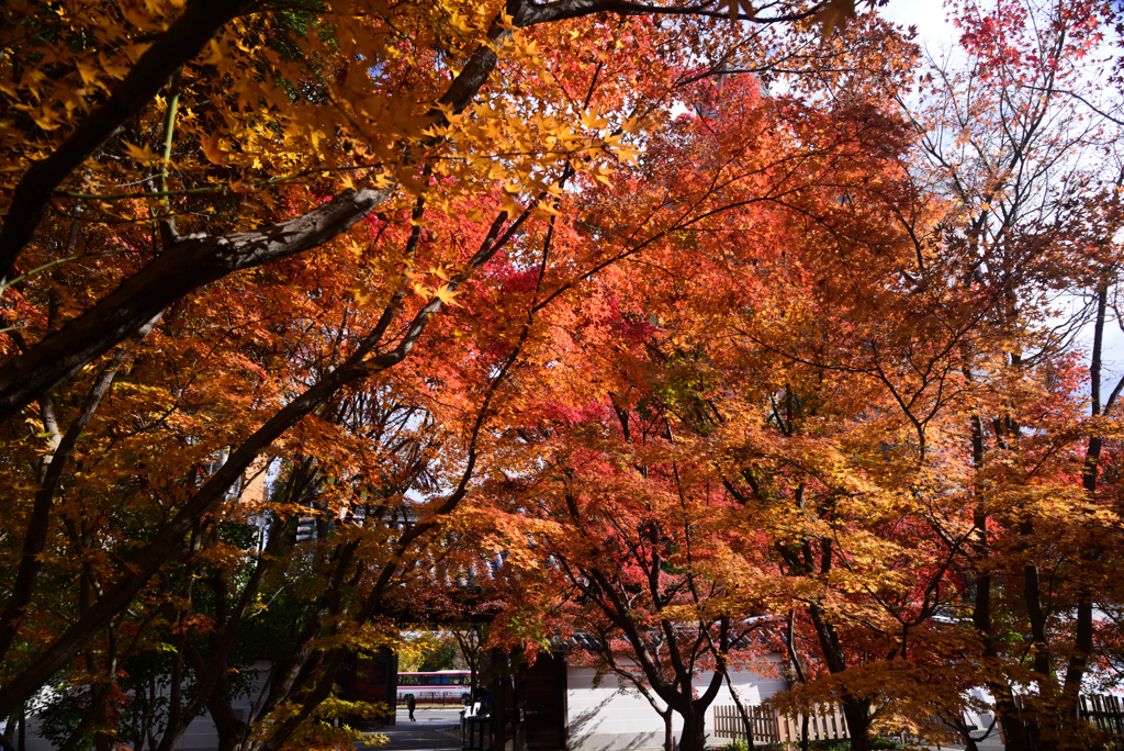 241208a西陣興聖寺07