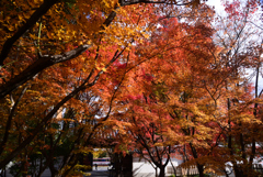 241208a西陣興聖寺07