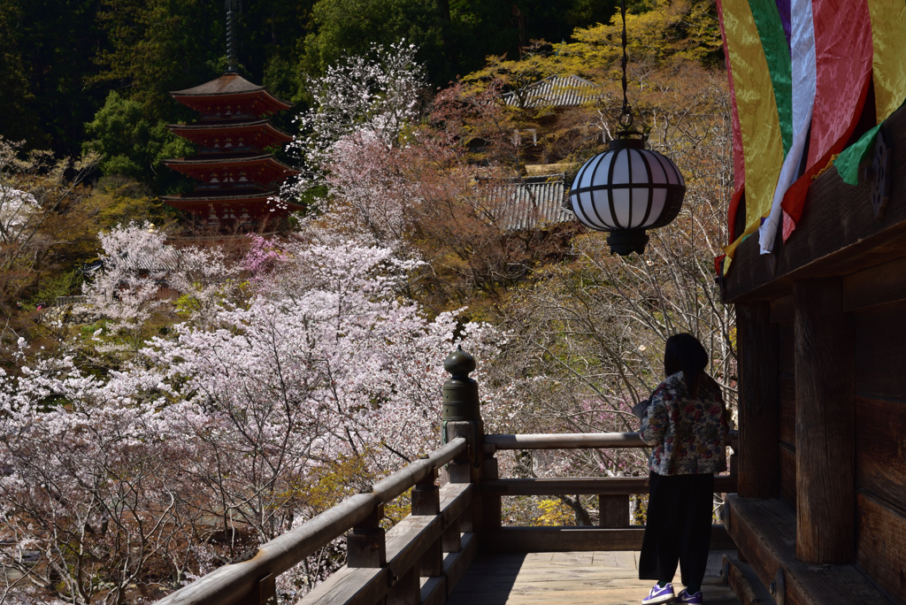 190409a長谷寺29