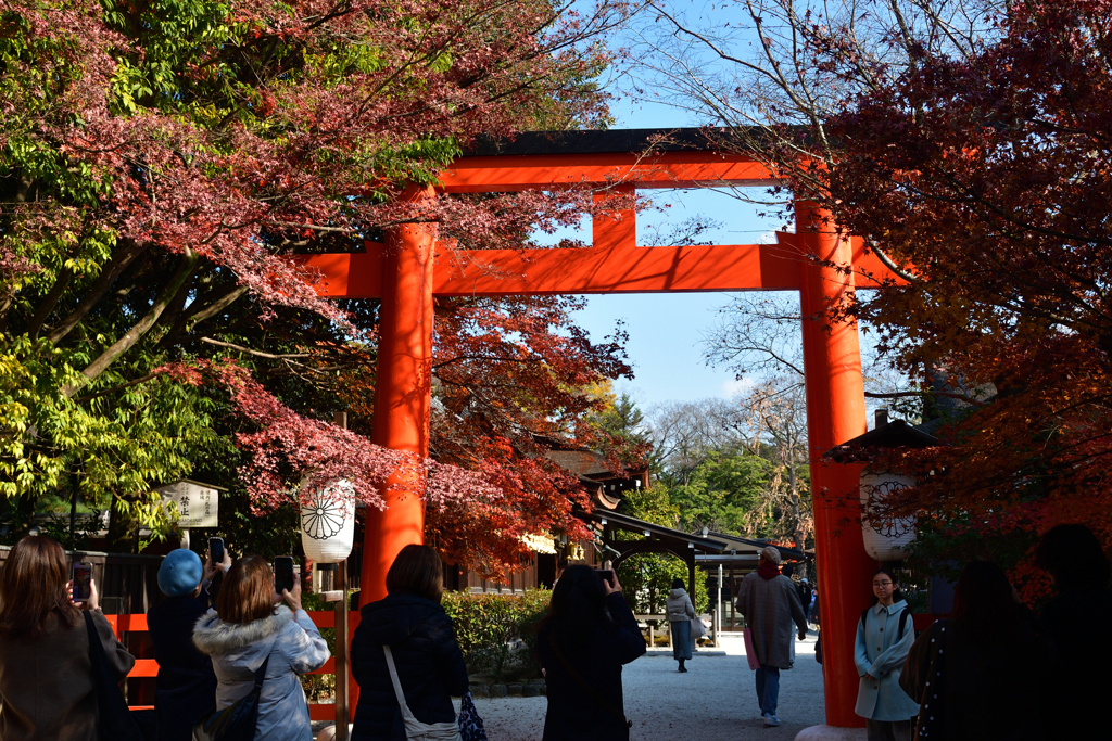 251207b下鴨神社01