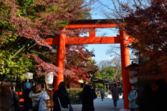 251207b下鴨神社01