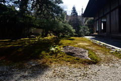 190130b相国寺慈照院53