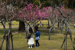 190314奈良公園17