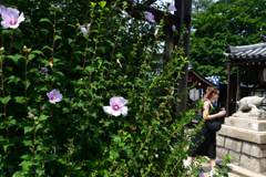 250829a建仁寺40