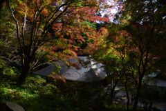 201115a室生寺46