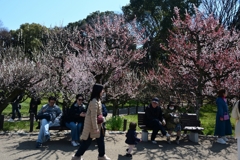 250320a大阪城26
