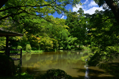 240705京都植物園33