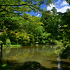 240705京都植物園33