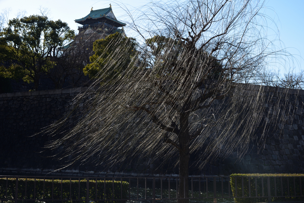 210129大阪城01