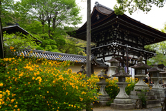 230418b松尾大社39