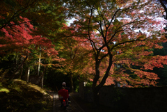 211116d吟松寺59