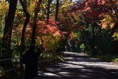 211209下鴨神社20