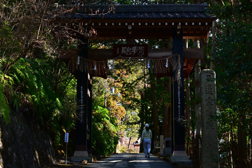 240116a本圀寺03