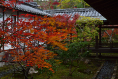 191130a大覚寺37