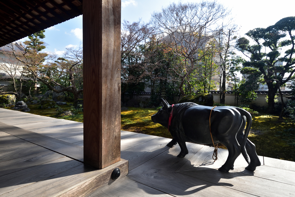 190205cだるま寺58