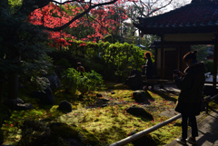 221203e栄摂院51