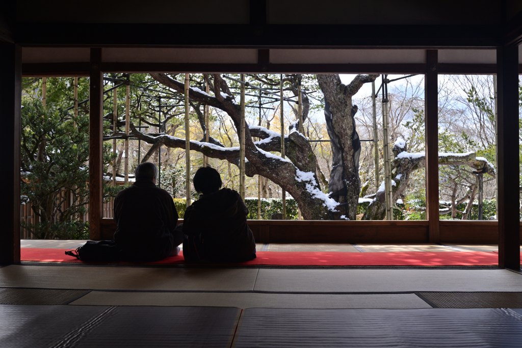 250210c大原宝泉院22