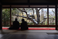 250210c大原宝泉院22