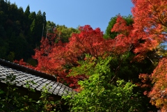 181111c吟松寺47