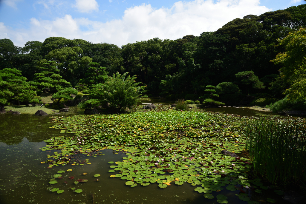 200730慶沢園08