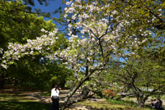 210410b京都御苑18